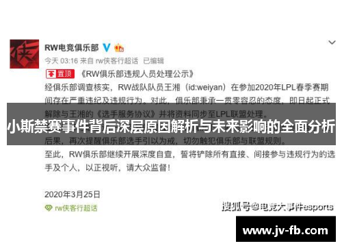 小斯禁赛事件背后深层原因解析与未来影响的全面分析