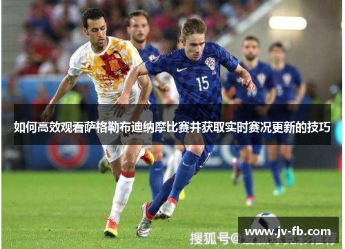 如何高效观看萨格勒布迪纳摩比赛并获取实时赛况更新的技巧