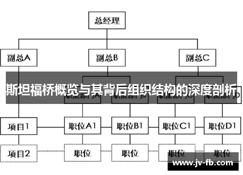 斯坦福桥概览与其背后组织结构的深度剖析