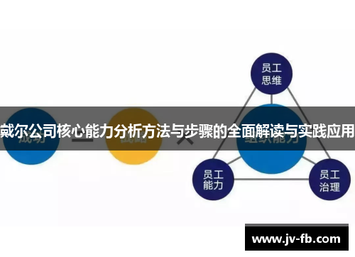 戴尔公司核心能力分析方法与步骤的全面解读与实践应用 戴尔公司核心能力分析方法与步骤的全面解读与实践应用